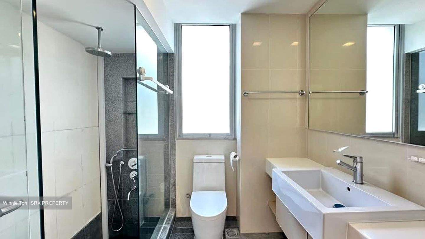 8 @ Mount Sophia (D9), Condominium #555678291